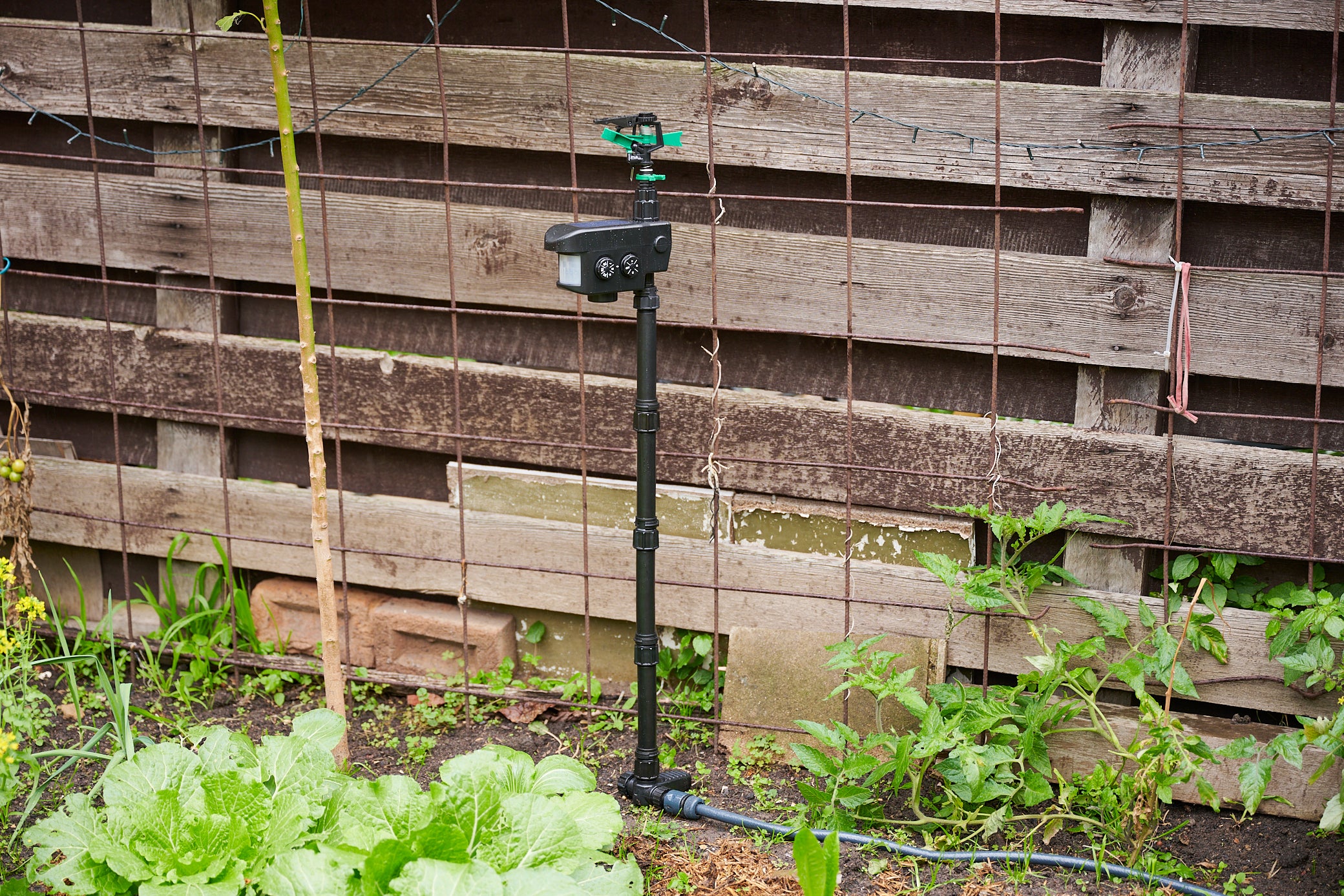 Garden Sentinel - Motion-Activated Pest Repeller Sprinkler (Solar Powered) - Image 14