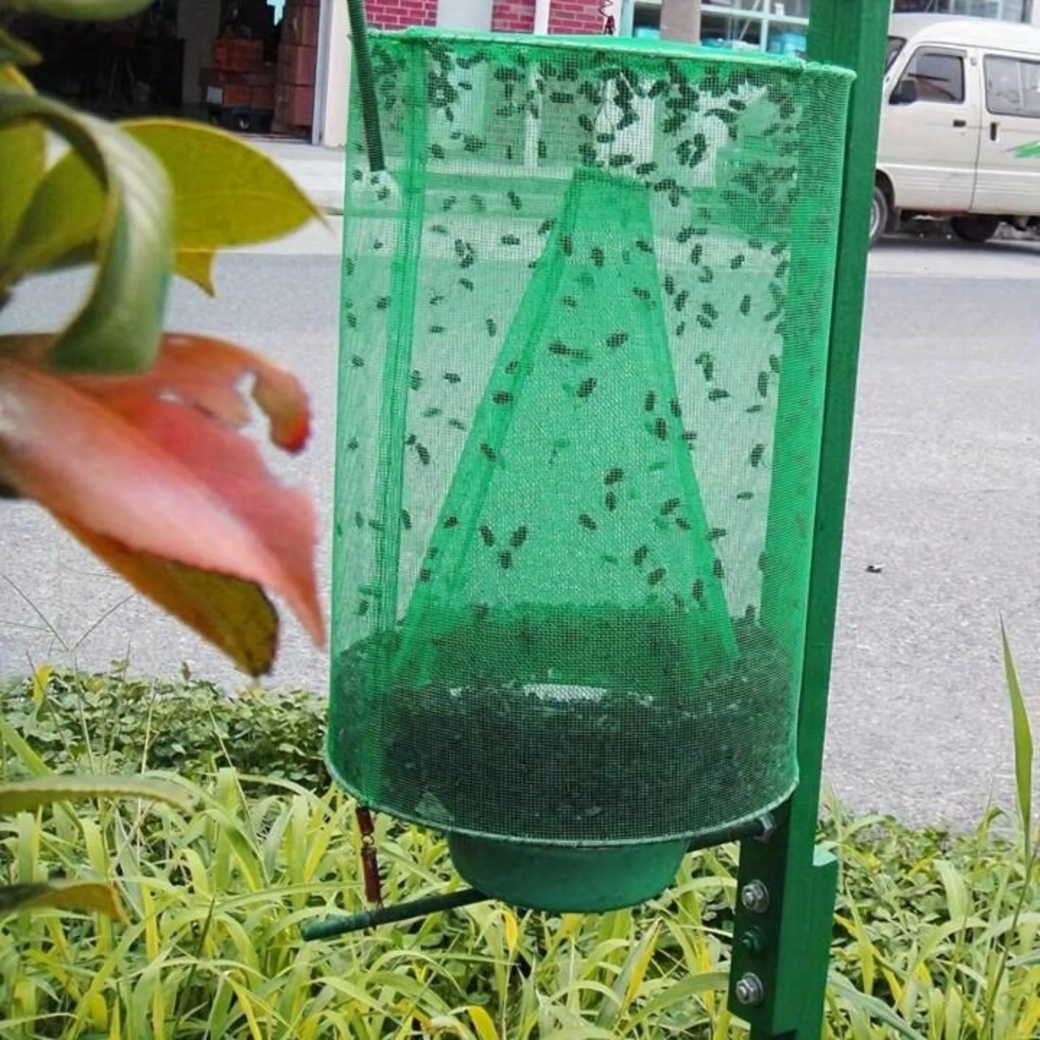 Envirobug Eco-Friendly Hanging Fly Trap Bag (Pack of 2) - Image 5